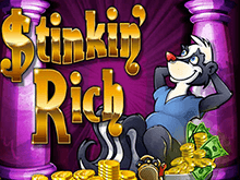Бонусы и спецсимволы в игровом онлайн слоте Stinkin Rich